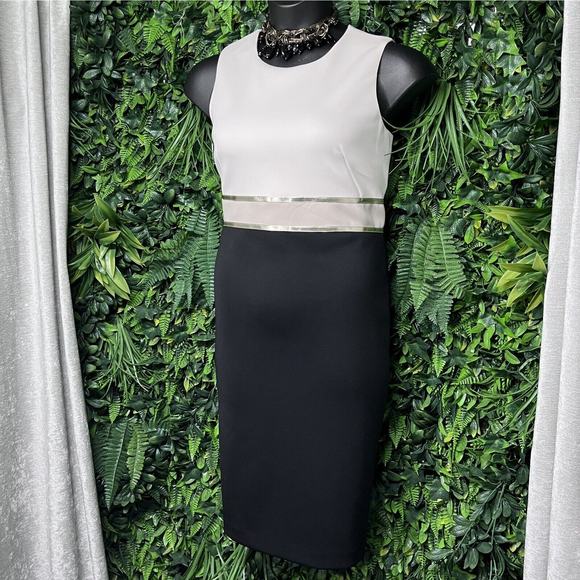 CALVIN KLEIN Dress‎ Women 12 Black Cream Color Block Round Neckline Sheath 2371 - Picture 1 of 8